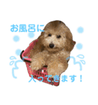 良太とゆかいな仲間たち❷（個別スタンプ：17）