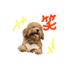 良太とゆかいな仲間たち❷（個別スタンプ：18）