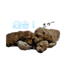 良太とゆかいな仲間たち❷（個別スタンプ：21）