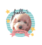 良太とゆかいな仲間たち❷（個別スタンプ：22）