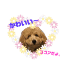 良太とゆかいな仲間たち❷（個別スタンプ：27）