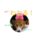 良太とゆかいな仲間たち❷（個別スタンプ：30）