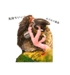 ウロコインコちゅらさんの仕草★その1（個別スタンプ：12）