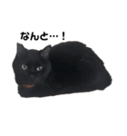 黒猫ジジの日常（個別スタンプ：1）