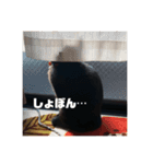 黒猫ジジの日常（個別スタンプ：3）