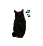 黒猫ジジの日常（個別スタンプ：5）