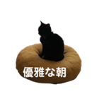 黒猫ジジの日常（個別スタンプ：8）