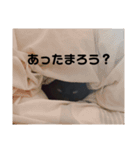 黒猫ジジの日常（個別スタンプ：9）