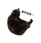 黒猫ジジの日常（個別スタンプ：10）