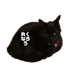 黒猫ジジの日常（個別スタンプ：15）