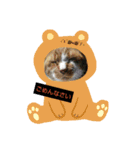 てぃーちの日々。（個別スタンプ：7）