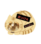 てぃーちの日々。（個別スタンプ：8）
