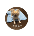 ワンまさお（個別スタンプ：12）