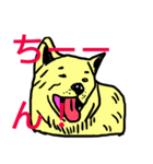 まん☆だん太郎のどうぶつかるたスタンプ1（個別スタンプ：25）