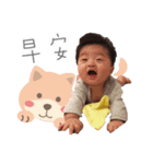 毎日かわいい赤ちゃん（個別スタンプ：1）
