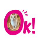 らてくんのスタンプ（個別スタンプ：3）