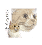 ねこ〜ず（個別スタンプ：10）