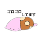 パンツねこ（個別スタンプ：6）