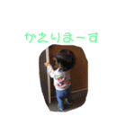ひまりと愉快な仲間たち（個別スタンプ：4）