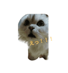 夢夢ちゃんの七変化（個別スタンプ：3）