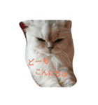 夢夢ちゃんの七変化（個別スタンプ：6）