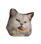 夢夢ちゃんの七変化（個別スタンプ：7）