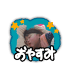 陽葵スタンプ4（個別スタンプ：3）