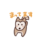 ポメ柴スタンプ（個別スタンプ：4）