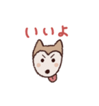 ポメ柴スタンプ（個別スタンプ：6）