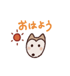 ポメ柴スタンプ（個別スタンプ：9）