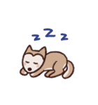 ポメ柴スタンプ（個別スタンプ：10）