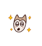 ポメ柴スタンプ（個別スタンプ：13）