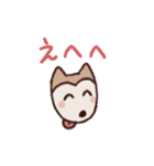 ポメ柴スタンプ（個別スタンプ：16）