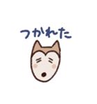ポメ柴スタンプ（個別スタンプ：18）