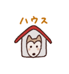 ポメ柴スタンプ（個別スタンプ：19）