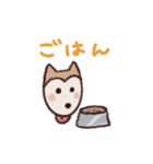 ポメ柴スタンプ（個別スタンプ：20）