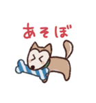 ポメ柴スタンプ（個別スタンプ：21）