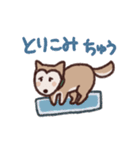 ポメ柴スタンプ（個別スタンプ：23）