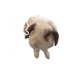 うさぎさん 第1弾（個別スタンプ：12）