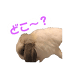 うさぎさん 第1弾（個別スタンプ：16）
