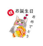 三毛猫さん 其の壱（個別スタンプ：1）