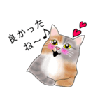 三毛猫さん 其の壱（個別スタンプ：3）