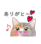 三毛猫さん 其の壱（個別スタンプ：7）