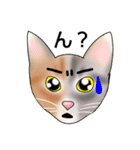 三毛猫さん 其の壱（個別スタンプ：9）