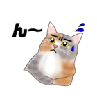三毛猫さん 其の壱（個別スタンプ：10）