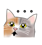 三毛猫さん 其の壱（個別スタンプ：11）