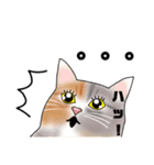 三毛猫さん 其の壱（個別スタンプ：12）