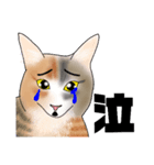 三毛猫さん 其の壱（個別スタンプ：18）
