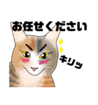 三毛猫さん 其の壱（個別スタンプ：22）