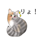 三毛猫さん 其の壱（個別スタンプ：26）